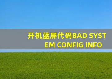 开机蓝屏代码BAD SYSTEM CONFIG INFO